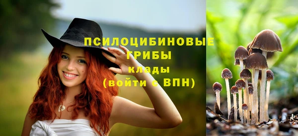 тгк Алексеевка