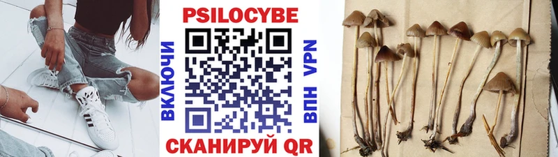 где купить   Набережные Челны  Псилоцибиновые грибы ЛСД 
