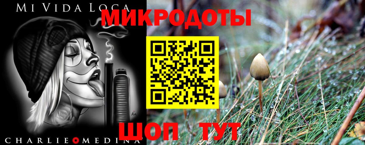 Псилоцибиновые грибы мицелий Набережные Челны